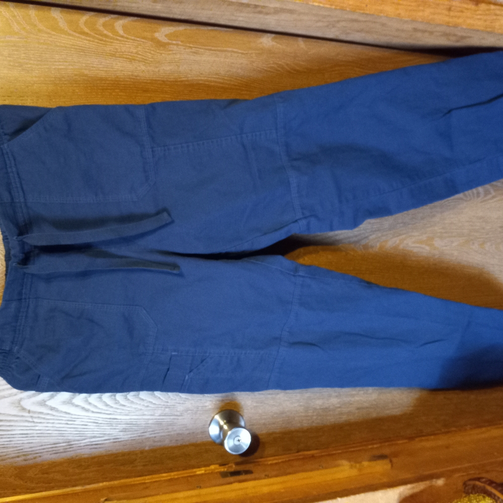 Carhartt Dark Blue Cargo Pants